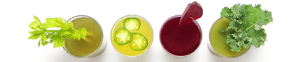 Cleanse program features