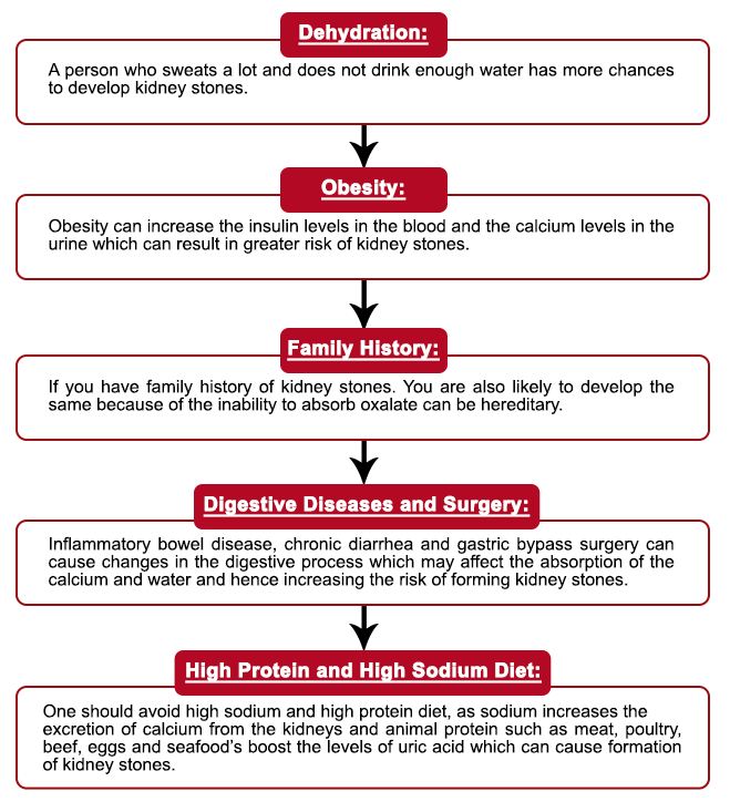 Kidney Stone Patient Diet Chart